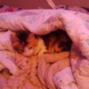 Meet your Posher, Leah